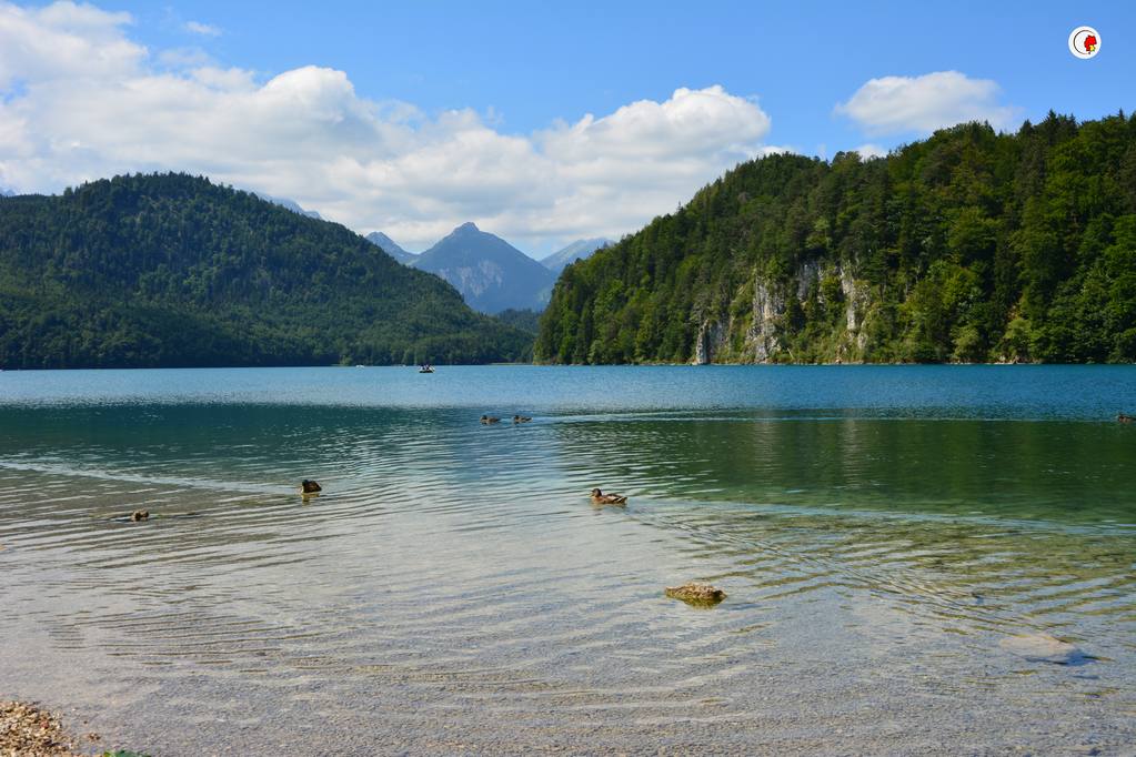 alpsee-schwangau