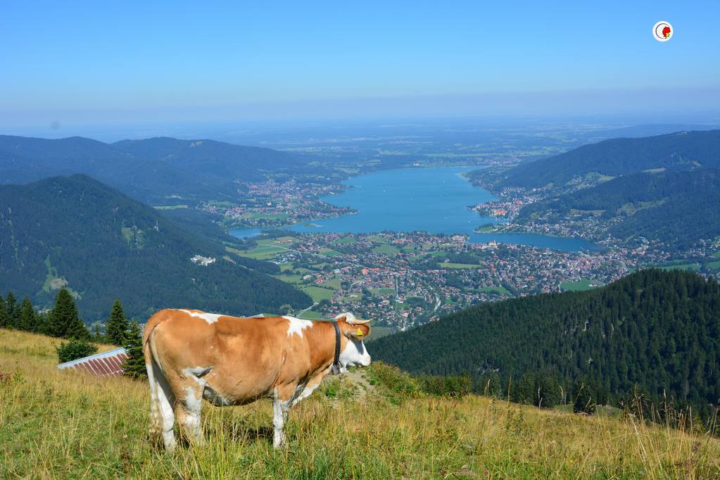 setzberg-tegernsee